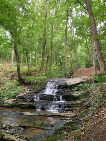203 Creekstone Court, Canton, GA 30115
