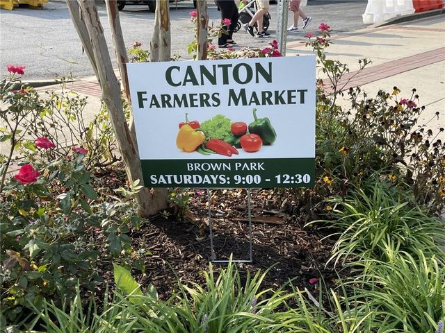 203 Creekstone Court, Canton, GA 30115