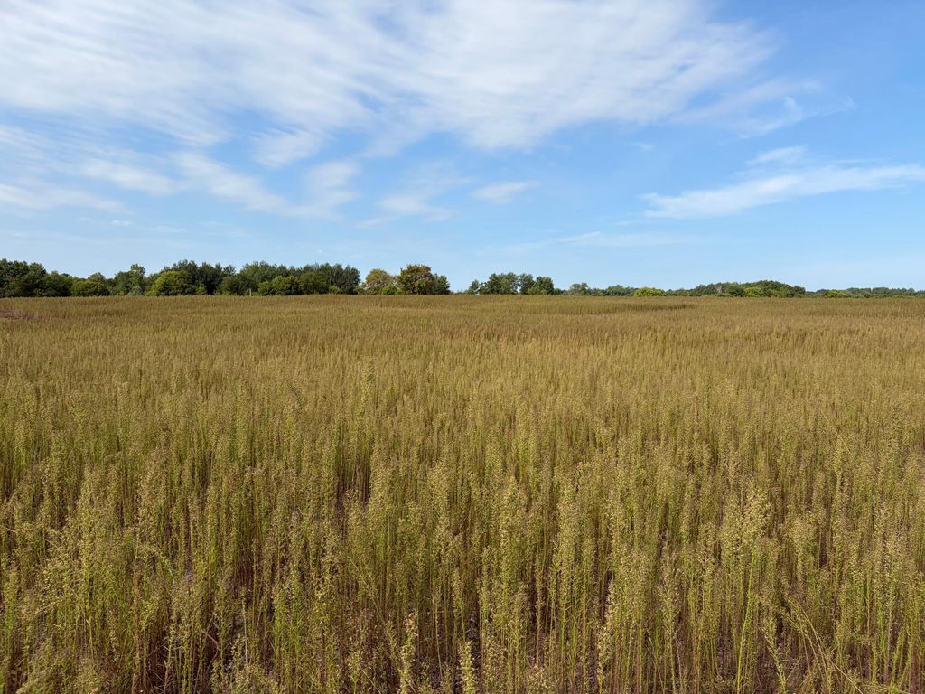 TBD (L2-SM East) Yellowpine Court NW, Isanti, MN 55040 — exterior