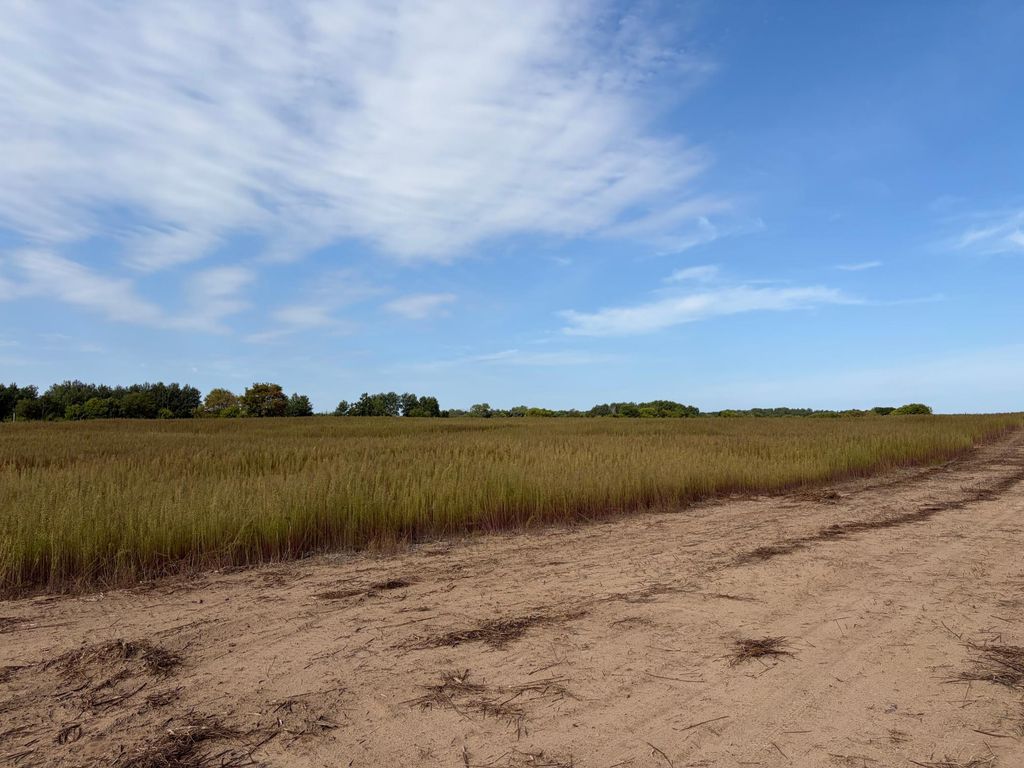 TBD (L2-SM East) Yellowpine Court NW, Isanti, MN 55040 — photo 2