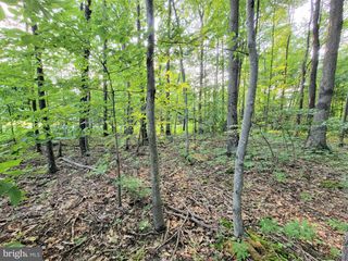 PARCEL 64 NEW GERMANY RD, Grantsville, MD 21536