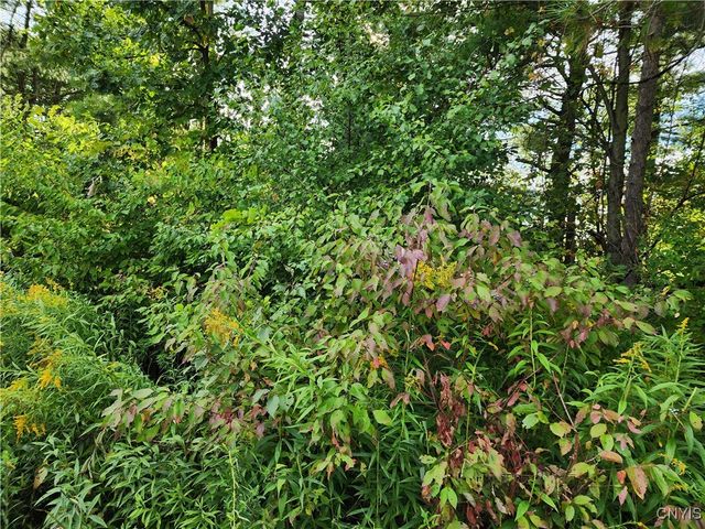 33269 Broadwell Road, Theresa, NY 13691