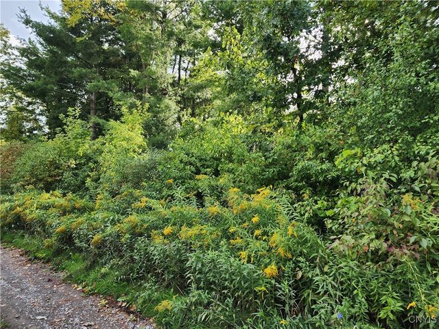 33269 Broadwell Road, Theresa, NY 13691