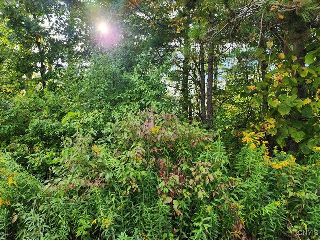 33269 Broadwell Road, Theresa, NY 13691