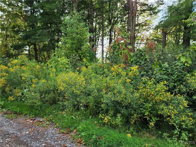 33269 Broadwell Road, Theresa, NY 13691