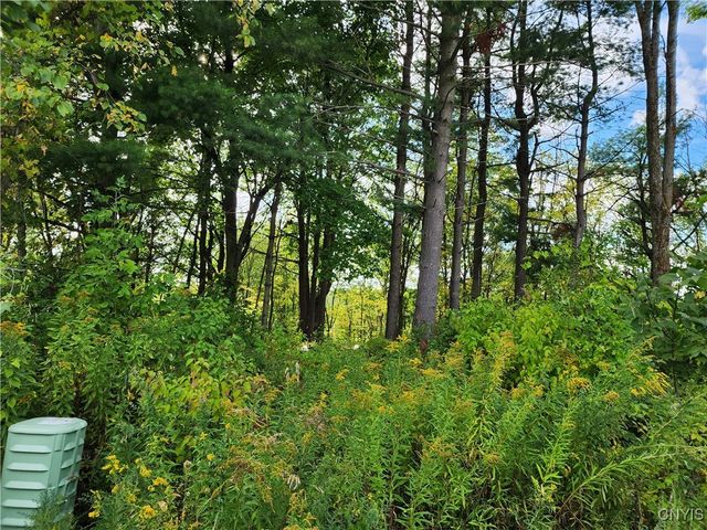 33269 Broadwell Road, Theresa, NY 13691