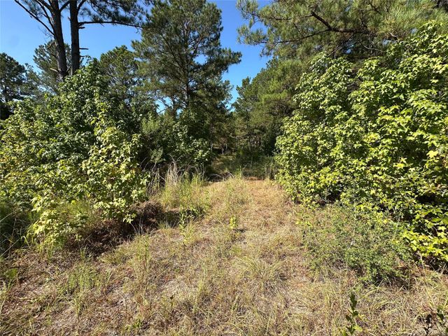 1034 Lloyd Bell Road, Trinity, TX 75862