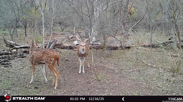 686 County Road 545, Hondo, TX 78861