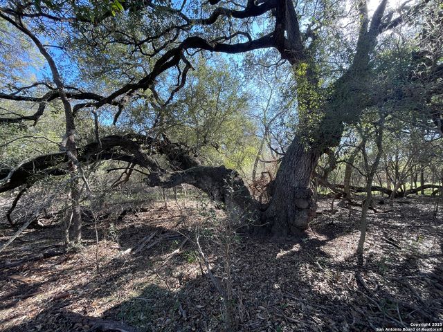 686 County Road 545, Hondo, TX 78861