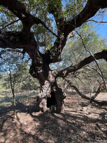 686 County Road 545, Hondo, TX 78861