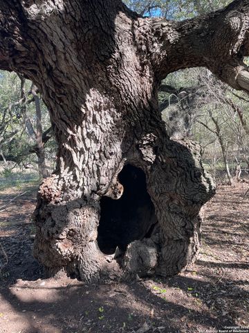 686 County Road 545, Hondo, TX 78861