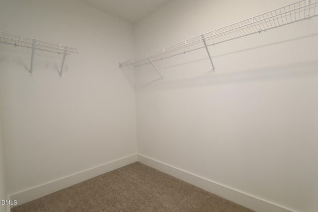2921 Spring Manor Way, Garner, NC 27529