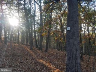 ACORN/SOLITUDE, Romney, WV 26757