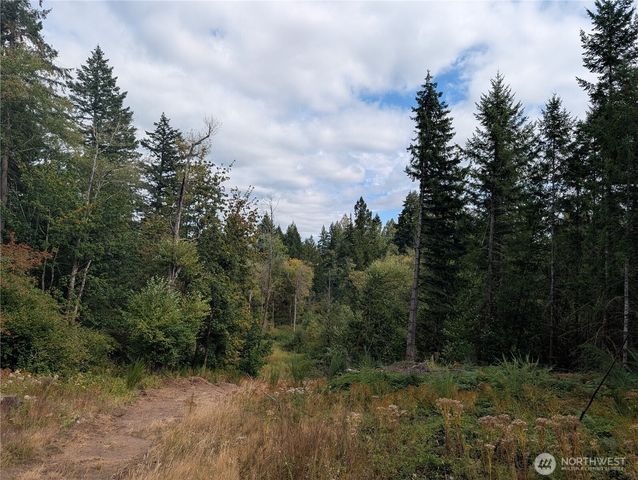 14120 Englund Lane SW, Tenino, WA 98589