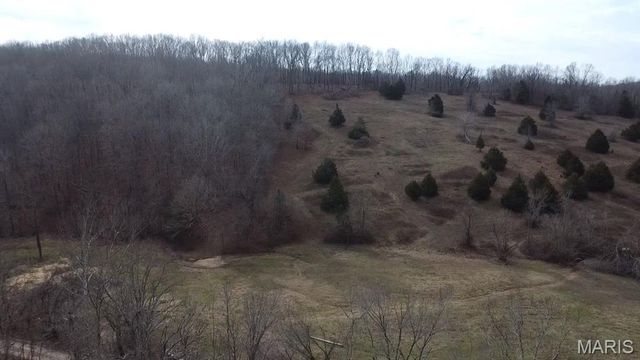 TBD Carter D-304, Van Buren, MO 63965