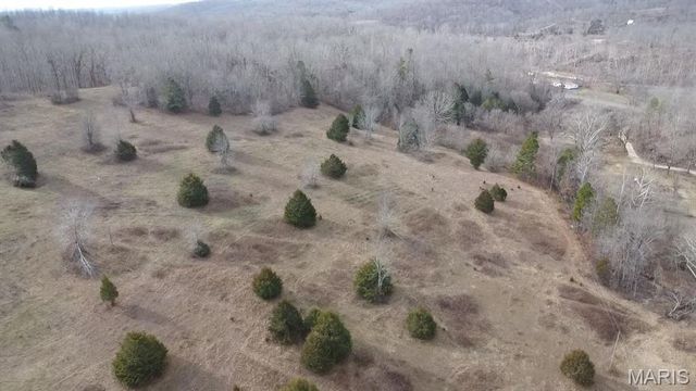 TBD Carter D-304, Van Buren, MO 63965