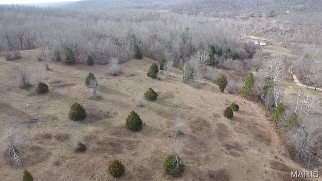 TBD Carter D-304, Van Buren, MO 63965