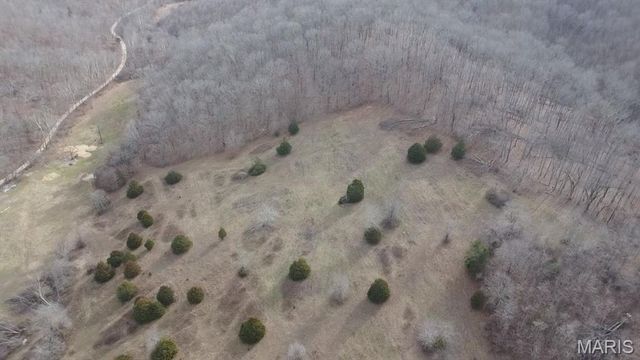 TBD Carter D-304, Van Buren, MO 63965