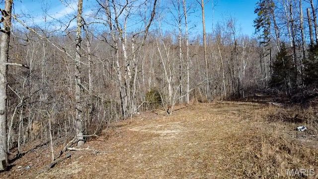 TBD Carter D-304, Van Buren, MO 63965