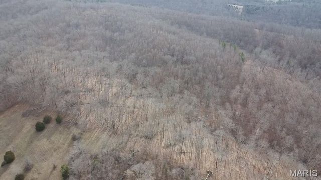 TBD Carter D-304, Van Buren, MO 63965