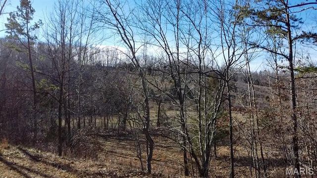 TBD Carter D-304, Van Buren, MO 63965