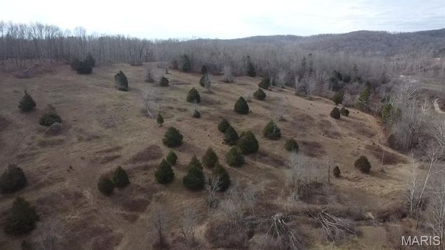 TBD Carter D-304, Van Buren, MO 63965