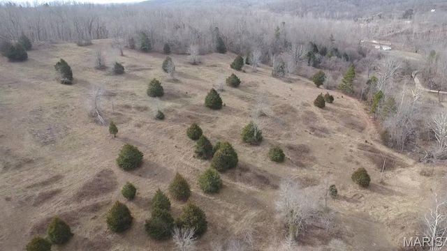 TBD Carter D-304, Van Buren, MO 63965