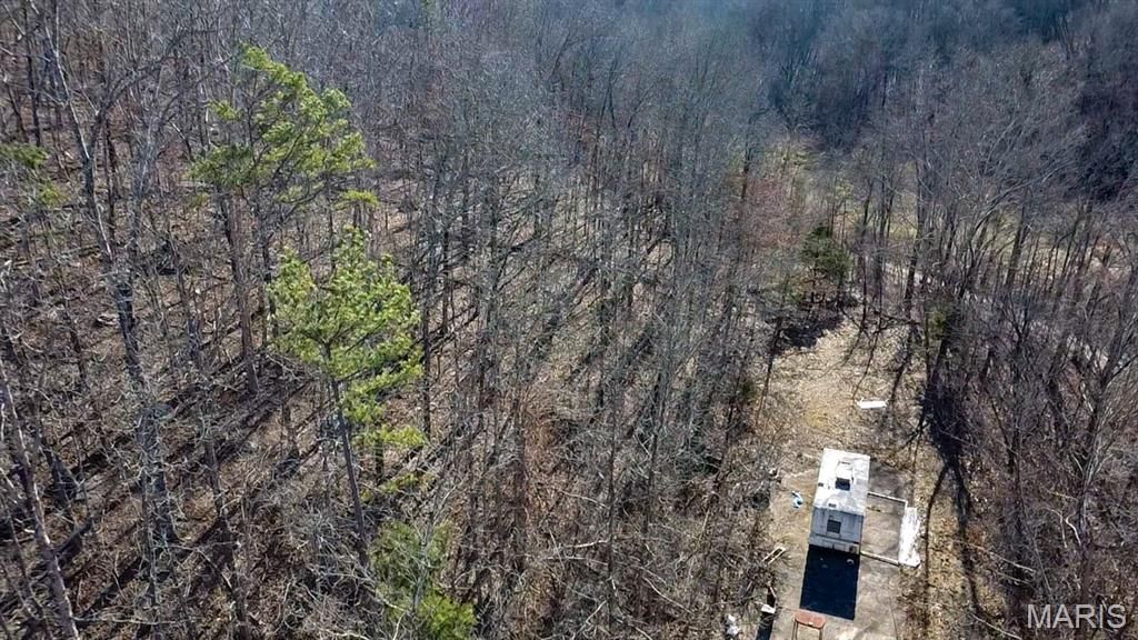 TBD Carter D-304, Van Buren, MO 63965