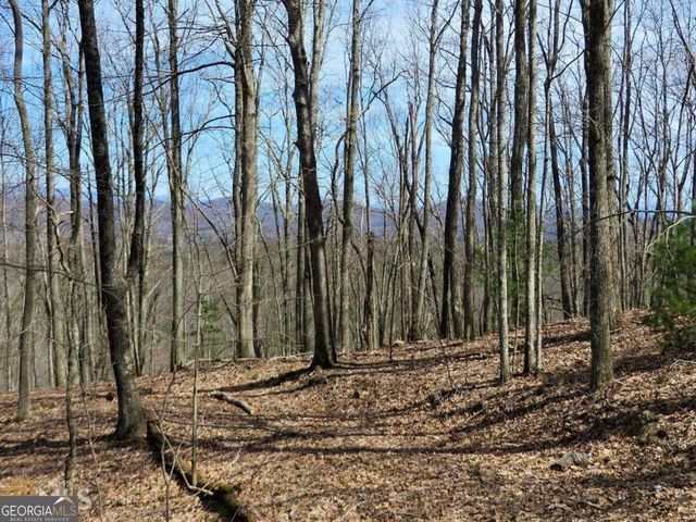 0 Deer Run, Morganton, GA 30560