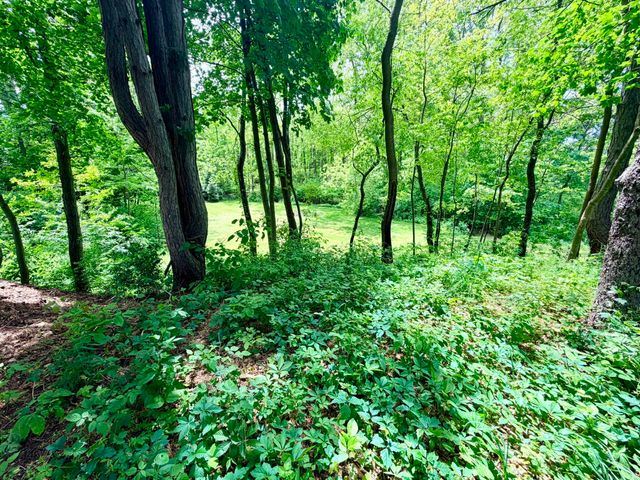 1346 W Marquette Woods Road, Lincoln Twp, MI 49085