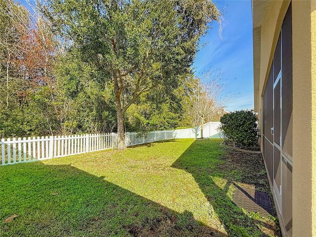 3013 TRINITY COTTAGE DRIVE, Land O Lakes, FL 34638