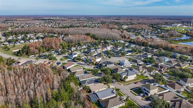 3013 TRINITY COTTAGE DRIVE, Land O Lakes, FL 34638