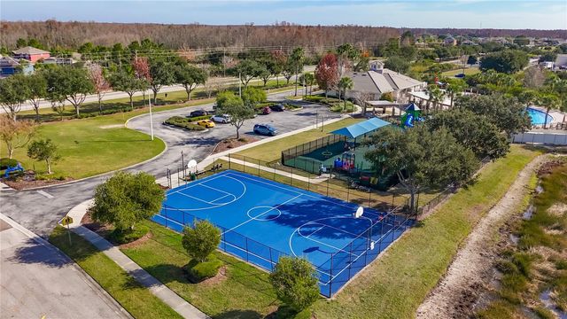 3013 TRINITY COTTAGE DRIVE, Land O Lakes, FL 34638