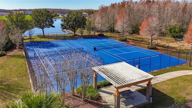 3013 TRINITY COTTAGE DRIVE, Land O Lakes, FL 34638