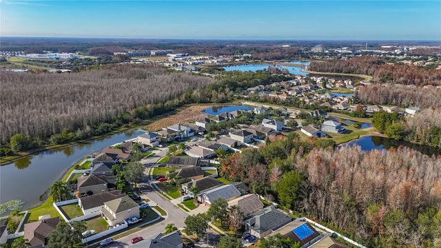 3013 TRINITY COTTAGE DRIVE, Land O Lakes, FL 34638