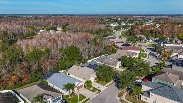 3013 TRINITY COTTAGE DRIVE, Land O Lakes, FL 34638