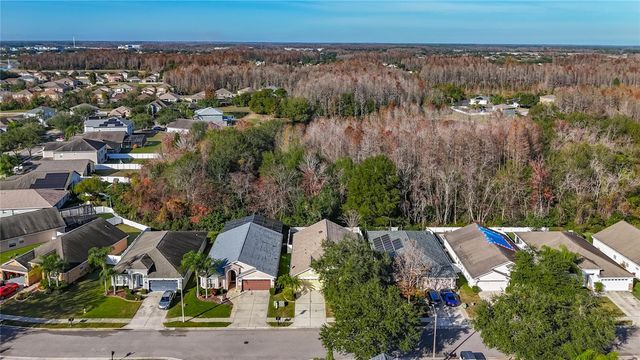 3013 TRINITY COTTAGE DRIVE, Land O Lakes, FL 34638