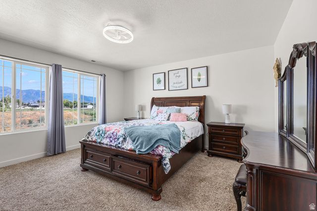 1319 W 650 S, Syracuse, UT 84075
