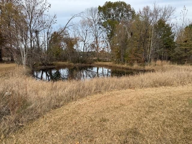 275 FRITTON SPUR RD, Middleton, TN 38052