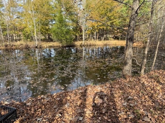 275 FRITTON SPUR RD, Middleton, TN 38052