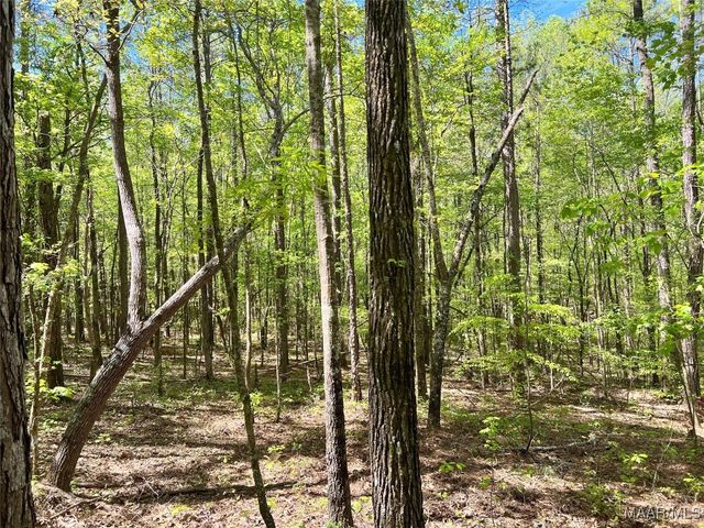 5731-5979 Weoka Road, Wetumpka, AL 36092