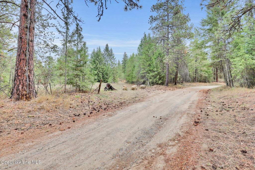 1571 Stone RD, Blanchard, ID 83804 photo 3