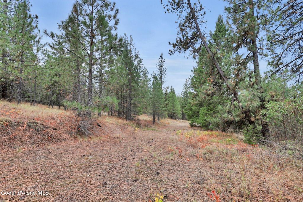 1571 Stone RD, Blanchard, ID 83804 photo 4
