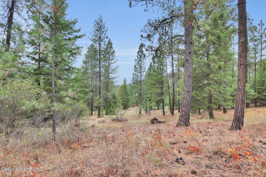 1571 Stone RD, Blanchard, ID 83804 photo 5