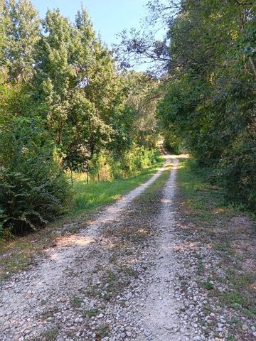130 Donkey Trail, Coldspring, TX 77331