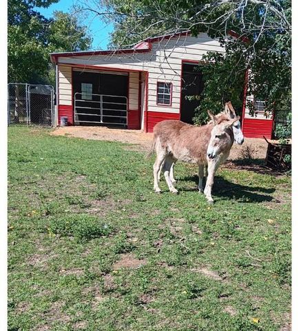 130 Donkey Trail, Coldspring, TX 77331