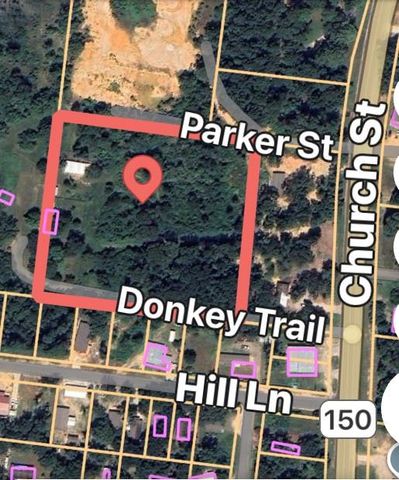 130 Donkey Trail, Coldspring, TX 77331