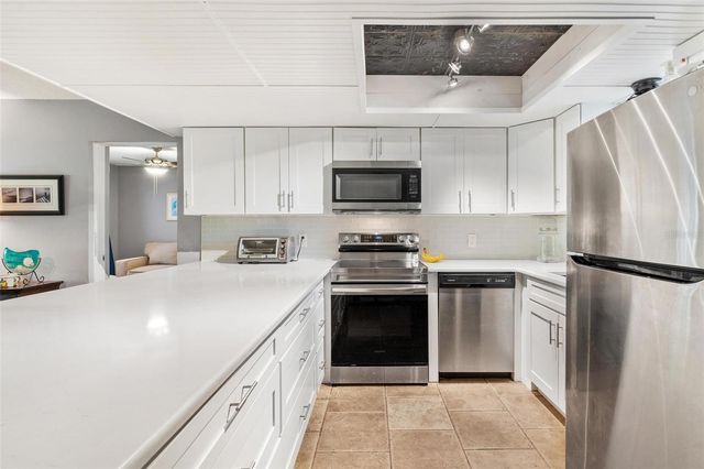 4300 BAYWOOD BOULEVARD B106, Mount Dora, FL 32757