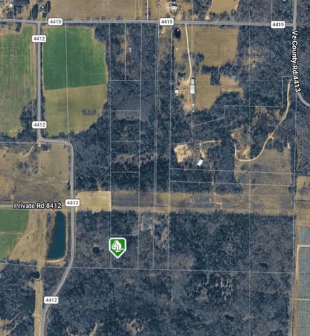 270 VZ County Road 4419, Ben Wheeler, TX 75754