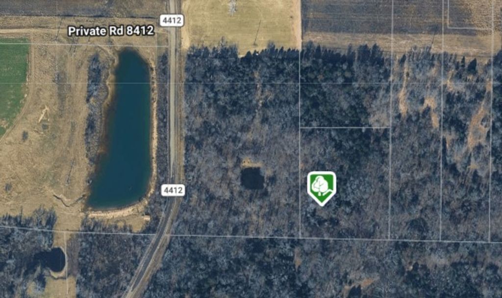270 VZ County Road 4419, Ben Wheeler, TX 75754